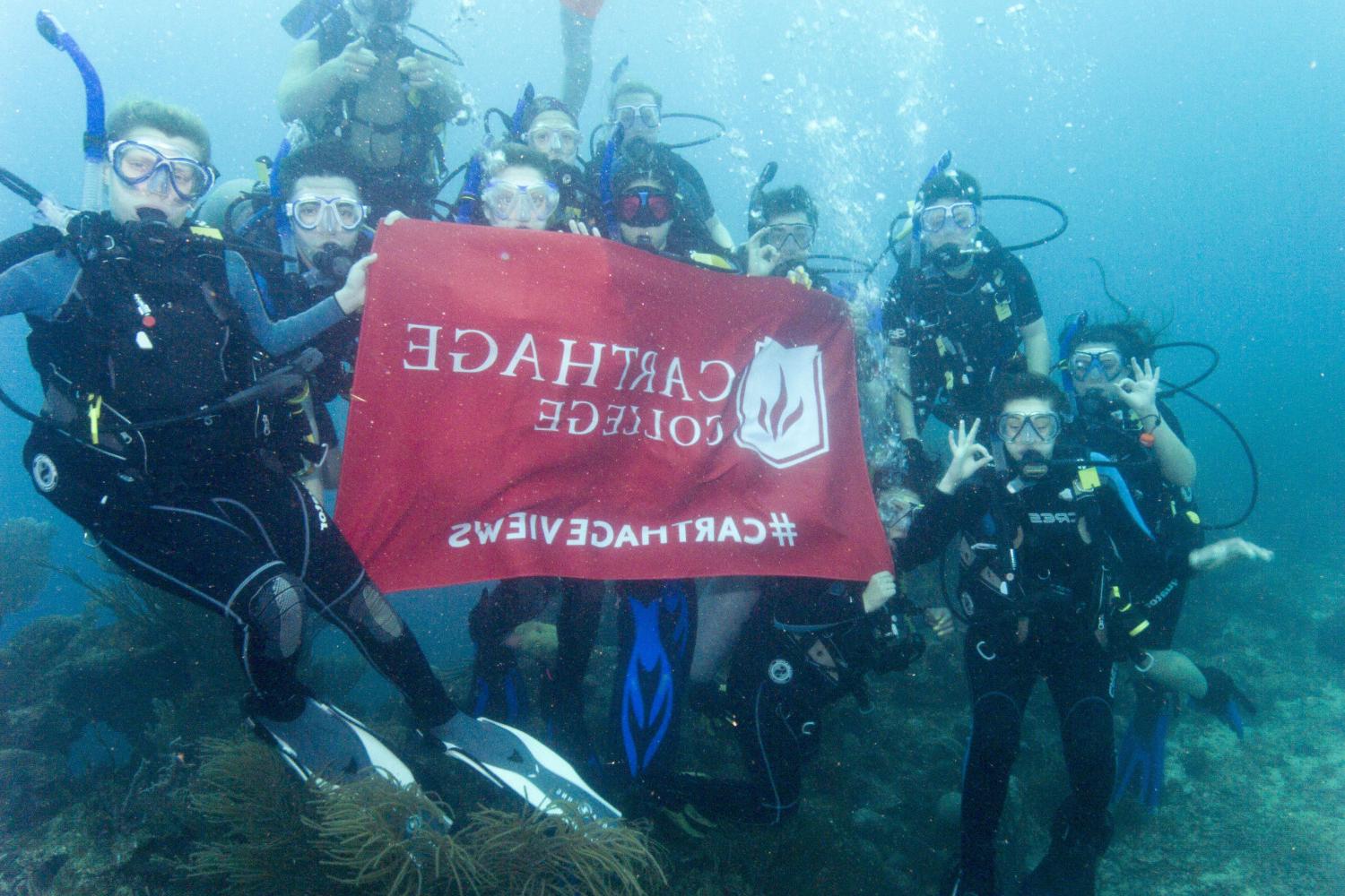 学生们手持<a href='http://bax.infosecureredteam.com'>bv伟德ios下载</a>旗帜，在j学期洪都拉斯游学之旅中潜水.